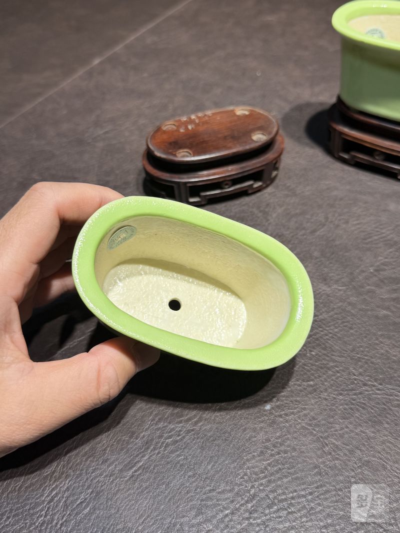 十八世纪 秋葵绿釉菖蒲盆一对（原配红木底座） - 图8